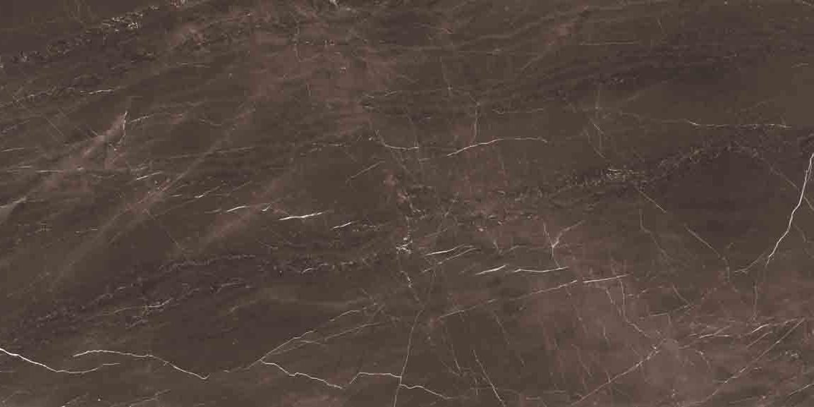 Ferox - Image 5